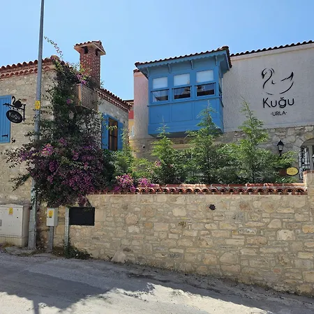 Kuğu *