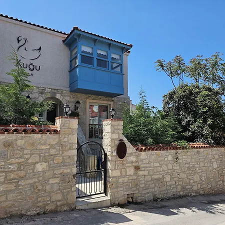 Kuğu * Urla