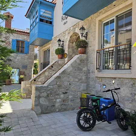Kuğu * Urla